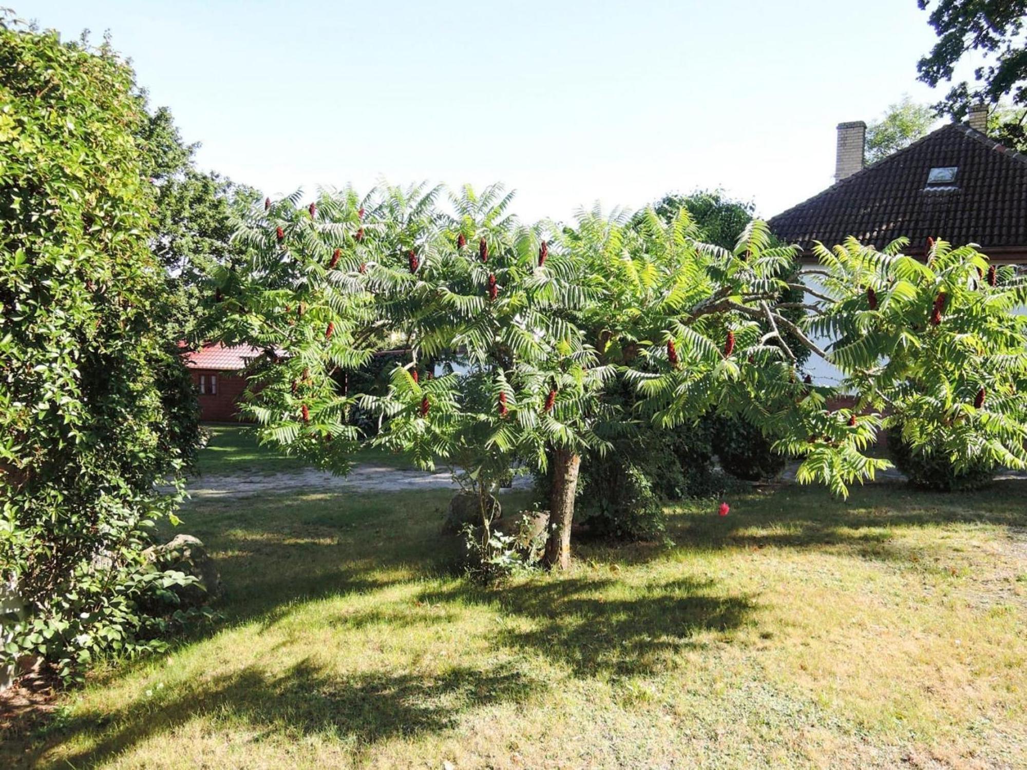 Bungalow In Lubin At 300 M From The Lake Exterior foto