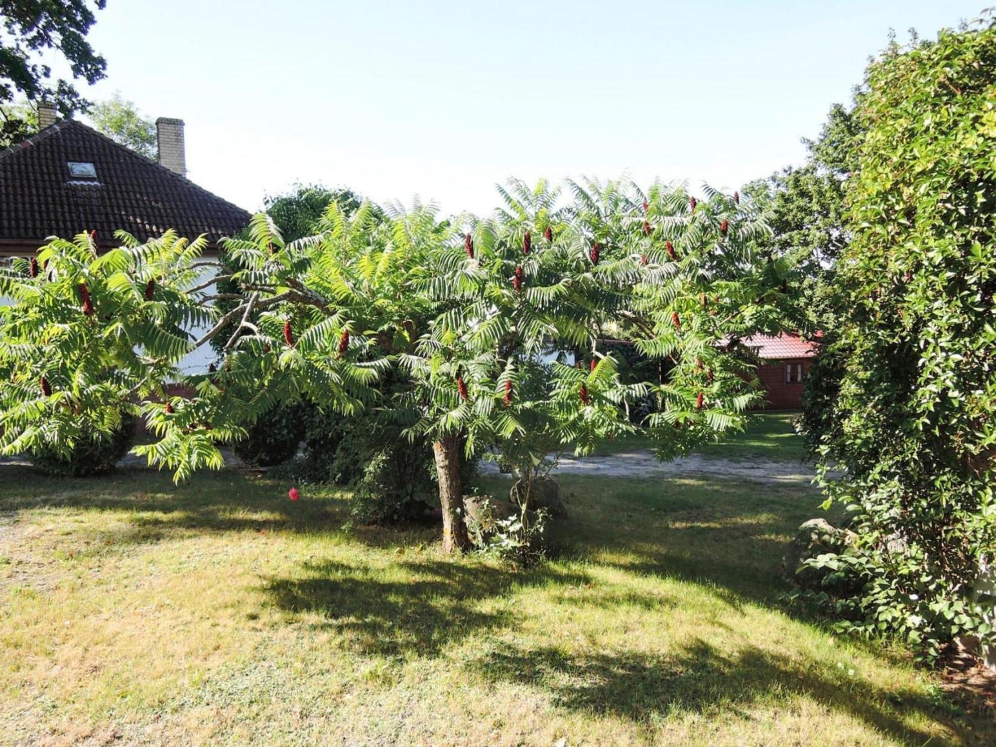 Bungalow In Lubin At 300 M From The Lake Exterior foto